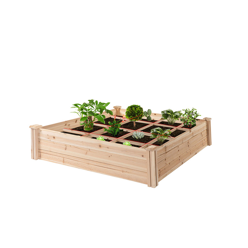 3.9ft x 3.9ft Hortus Bed Box cum Segmented Growing Grid, Wood Material for Backyard Plantarum & Herbarum