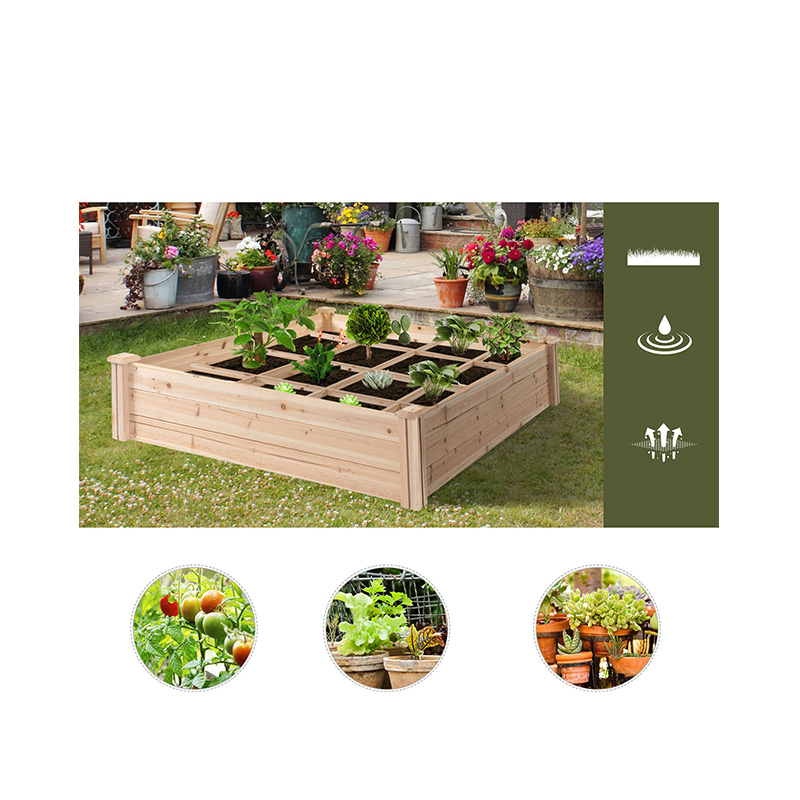3.9ft x 3.9ft Hortus Bed Box cum Segmented Growing Grid, Wood Material for Backyard Plantarum & Herbarum