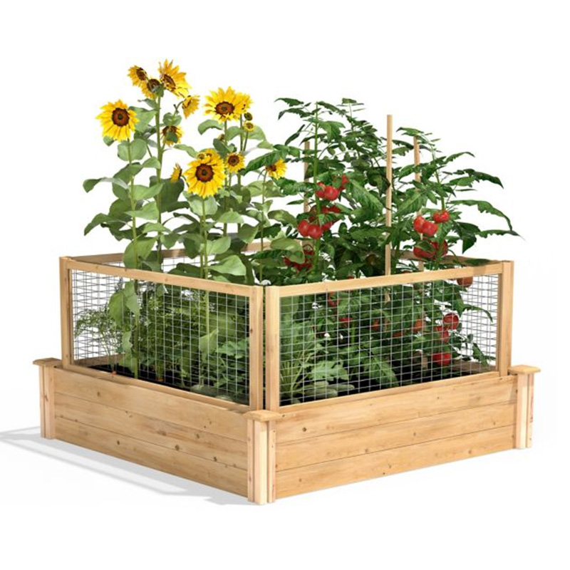 3.9ft x 3.9ft Hortus Bed Box cum Segmented Growing Grid, Wood Material for Backyard Plantarum & Herbarum